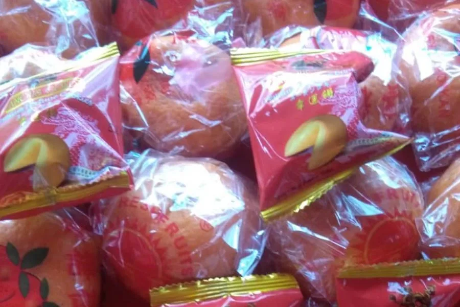 Chinese New Year Celebration — photo 10