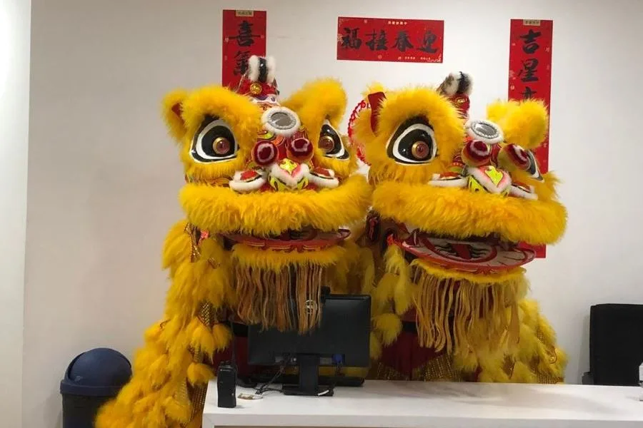 Chinese New Year Celebration — photo 14