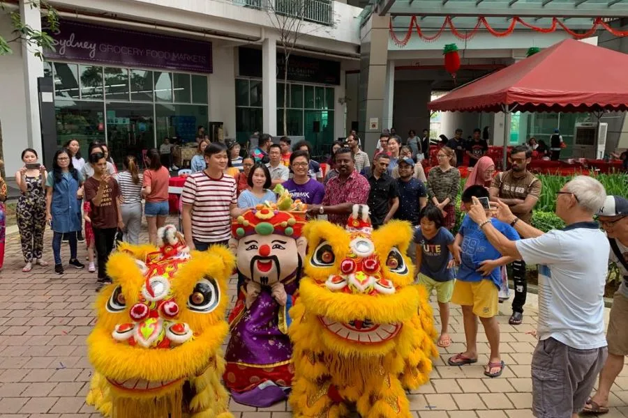 Chinese New Year Celebration — photo 15