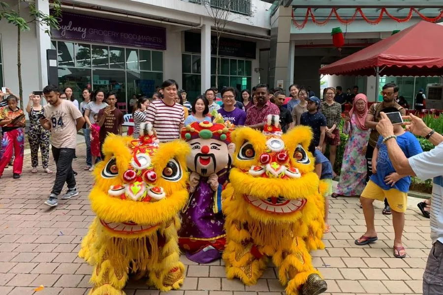 Chinese New Year Celebration — photo 16