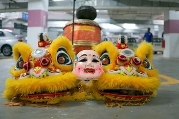 Chinese New Year Celebration — photo 2