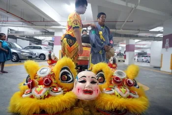 Chinese New Year Celebration — photo 4