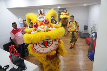 Chinese New Year Celebration — photo 9