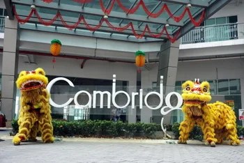Chinese New Year Celebration — photo 23