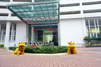 Chinese New Year Celebration — photo 30