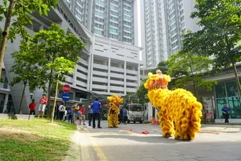 Chinese New Year Celebration — photo 31