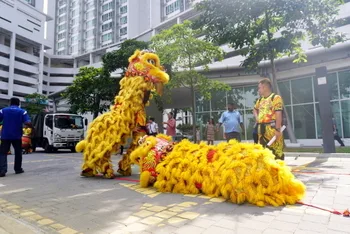 Chinese New Year Celebration — photo 32
