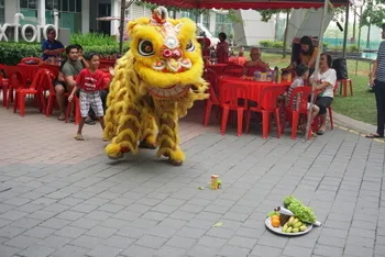 Chinese New Year Celebration — photo 53