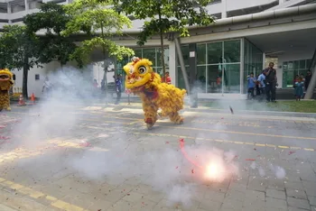 Chinese New Year Celebration — photo 74